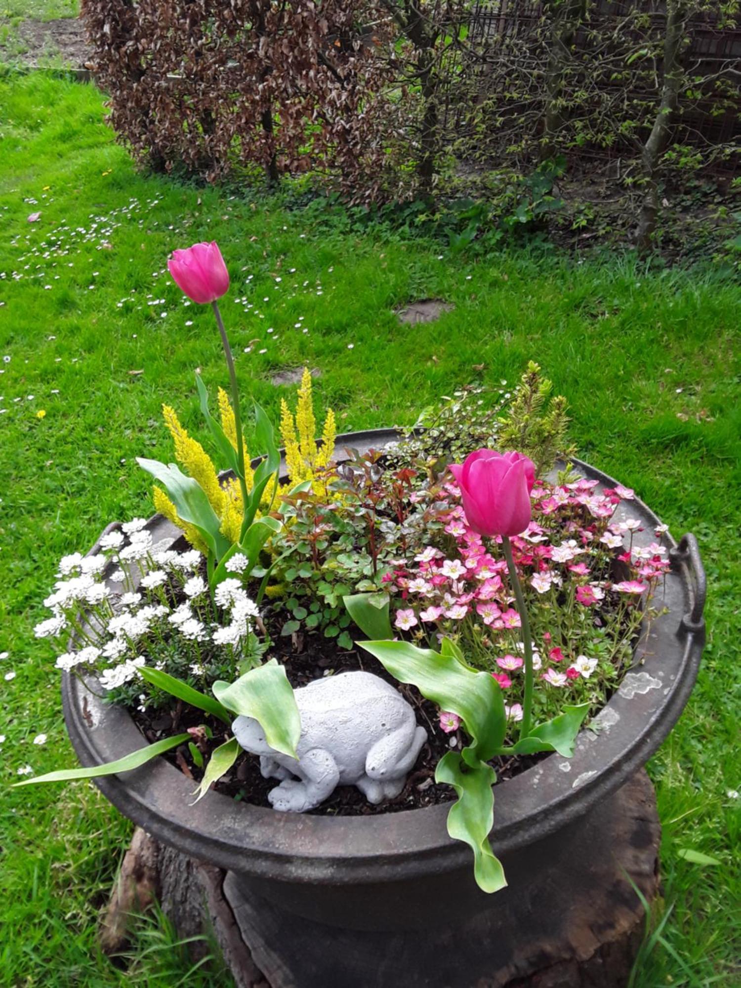 Un Week-End A La Campagne Bed and Breakfast Pont-Audemer Buitenkant foto