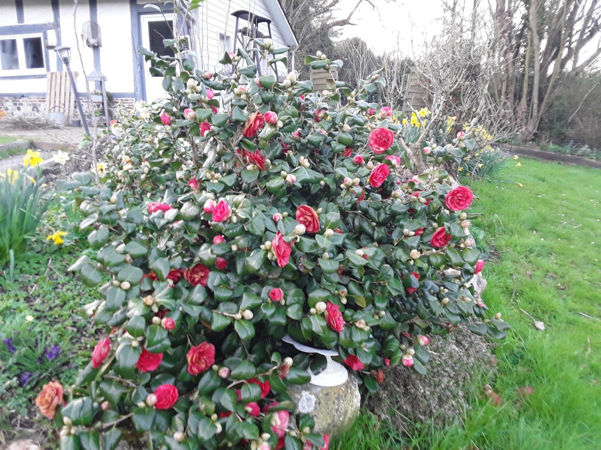 Un Week-End A La Campagne Bed and Breakfast Pont-Audemer Buitenkant foto
