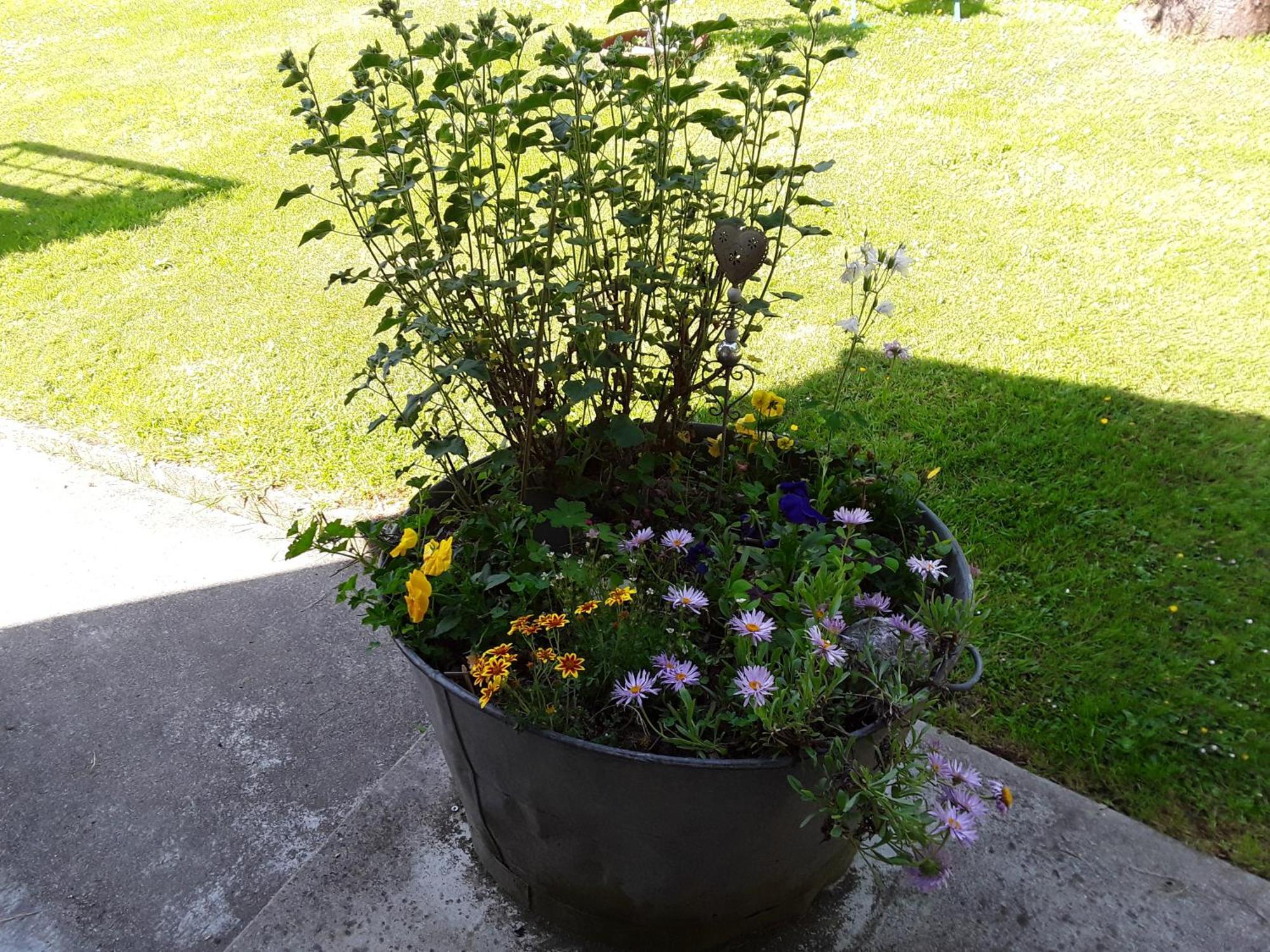 Un Week-End A La Campagne Bed and Breakfast Pont-Audemer Buitenkant foto